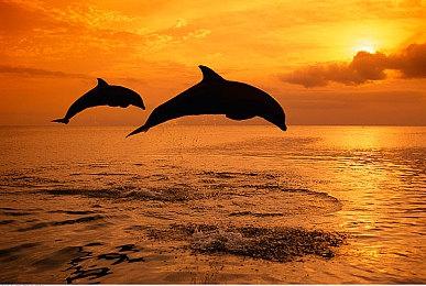 经典系列新作《巫术VD》PC版上线 3D迷宫RPG